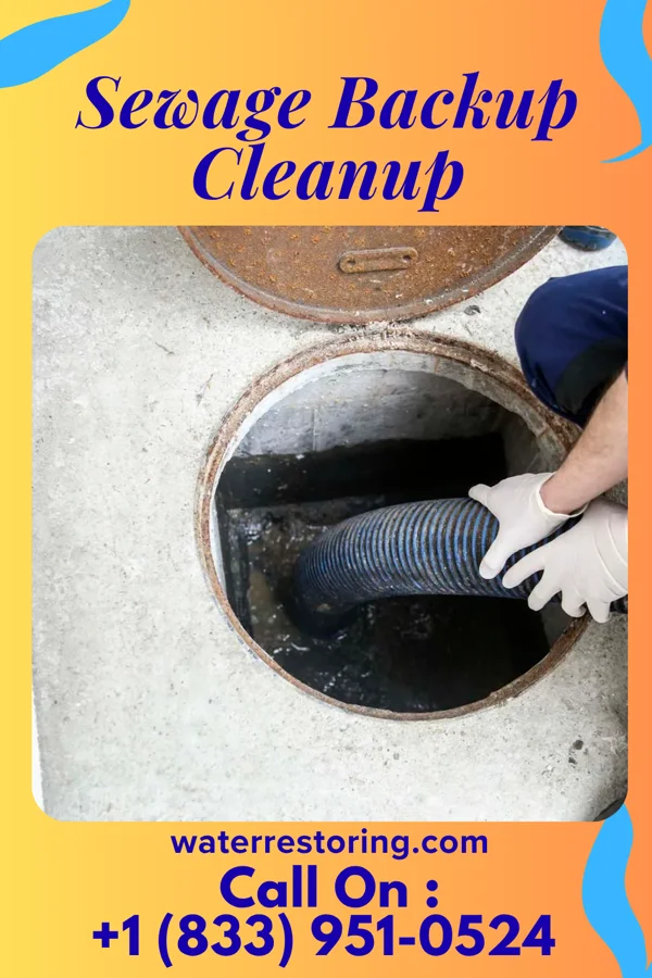Sewage Backup Cleanup in Inwood, FL